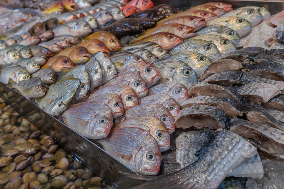 175A7585.jpg 175A7585.jpg