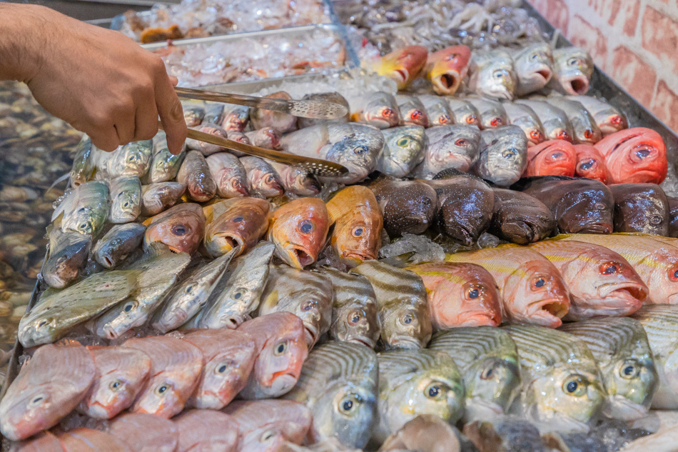 175A7586.jpg 175A7586.jpg