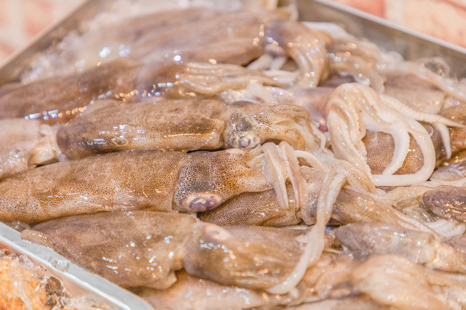 175A7593.jpg 175A7593.jpg