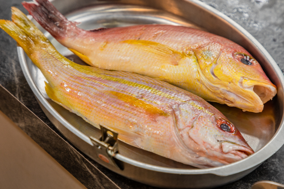 175A7606.jpg 175A7606.jpg