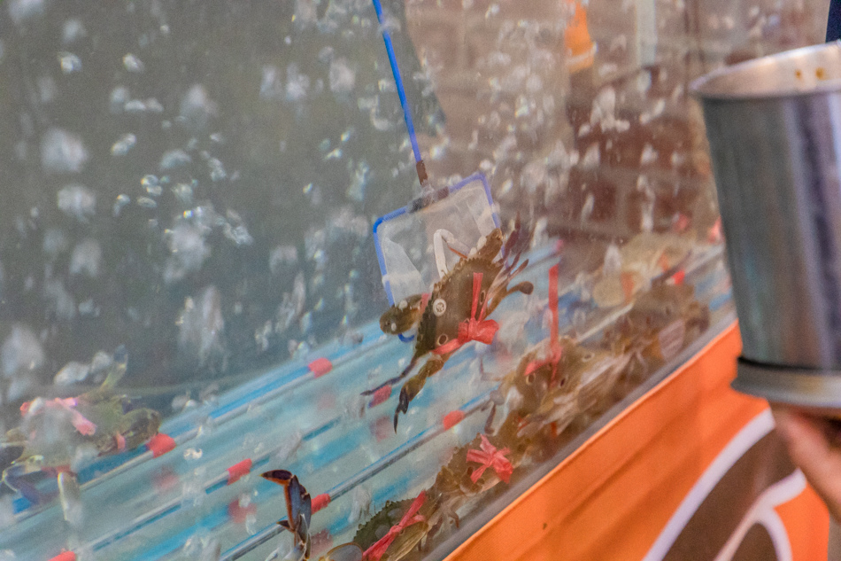 175A7614.jpg 175A7614.jpg