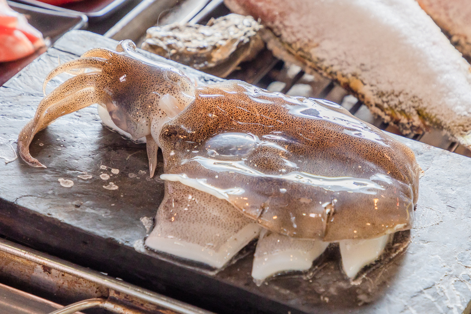 175A7624.jpg 175A7624.jpg