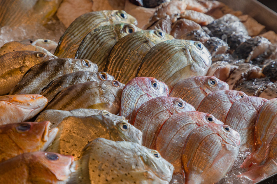 175A7674.jpg 175A7674.jpg