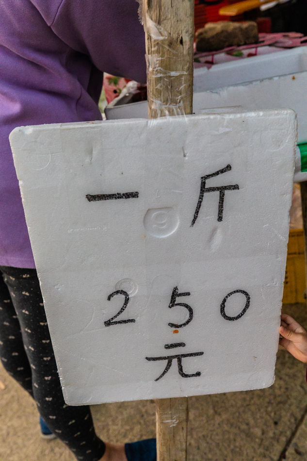 高雄旅遊 - 六龜荖濃草莓園 高雄旅遊 - 六龜荖濃草莓園