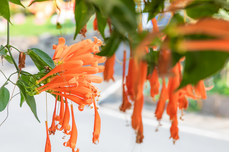 175A0017.jpg 175A0017.jpg