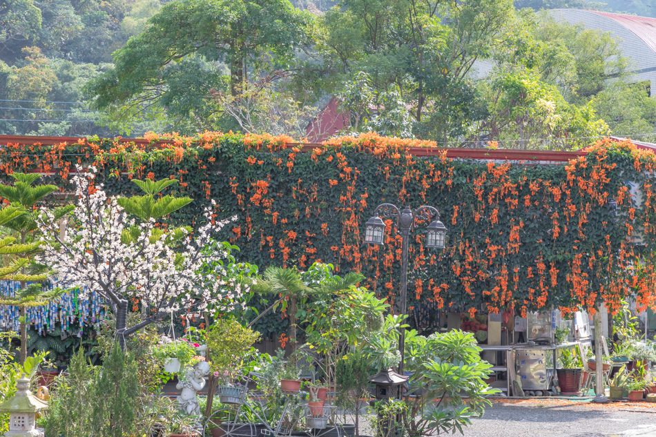 175A0018.jpg 175A0018.jpg