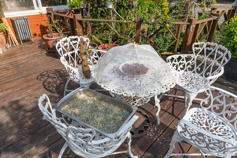 175A0021.jpg 175A0021.jpg