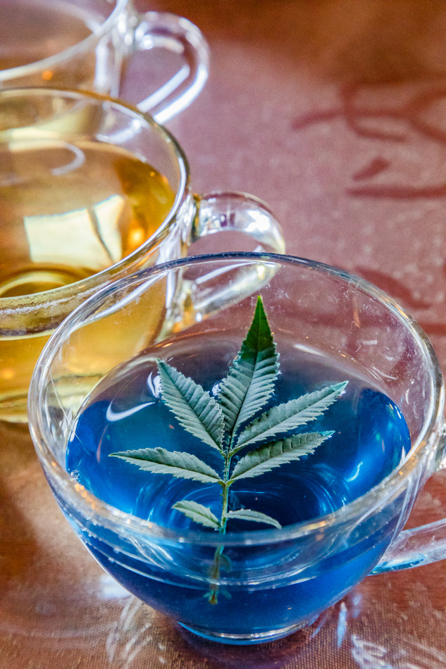 175A9990.jpg 175A9990.jpg