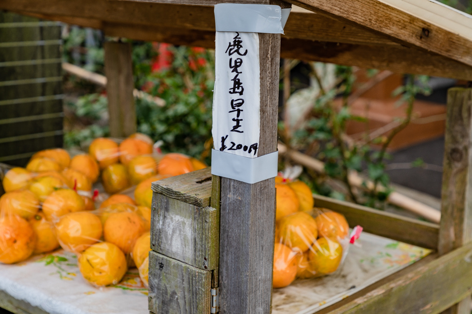 鹿兒島旅遊 - 桷志田黑醋觀光工廠