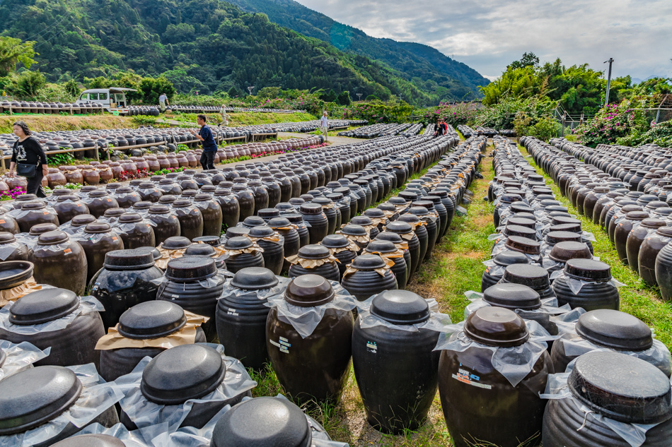 鹿兒島旅遊 - 桷志田黑醋觀光工廠