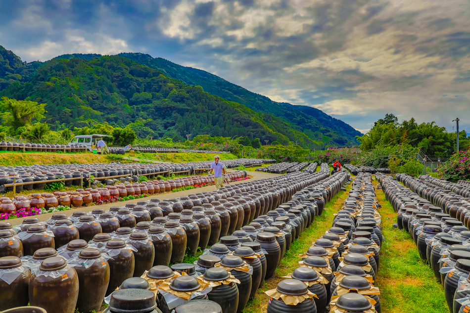 鹿兒島旅遊 桷志田黑醋觀光工廠x 買伴手禮 學習醋的釀造 吃心絕對 美食旅遊部落格 痞客邦