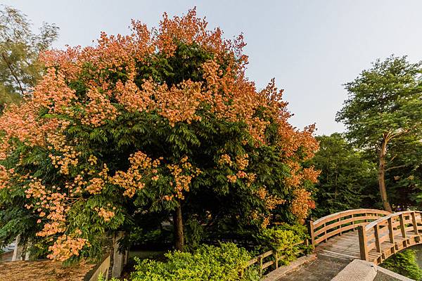 楠梓碉堡公園