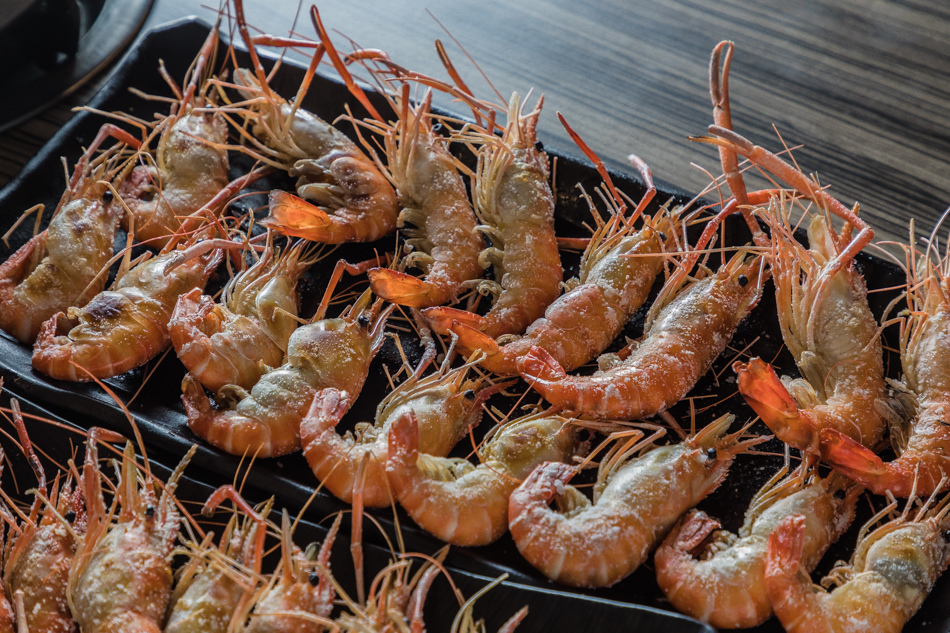 175A2364.jpg 175A2364.jpg