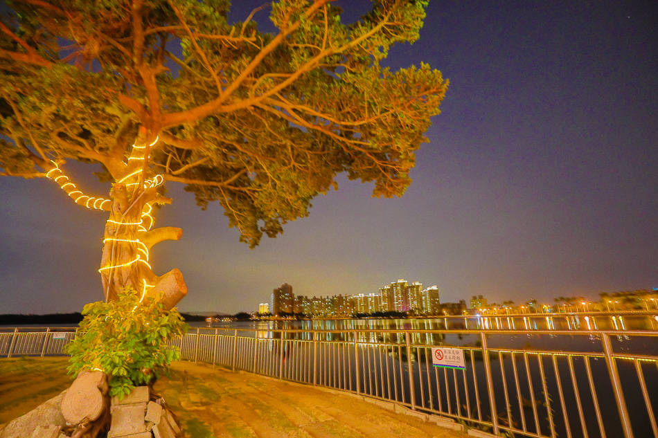 175A2388.jpg 175A2388.jpg