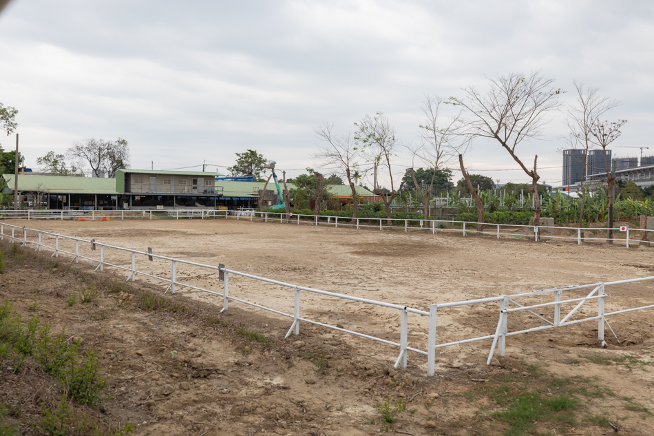 175A2999.jpg 175A2999.jpg