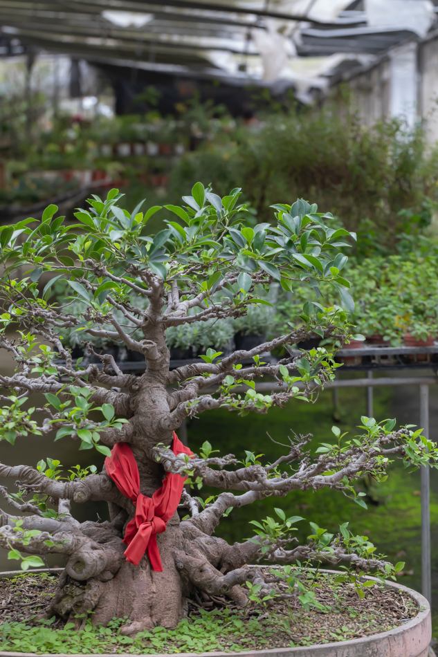 175A3010.jpg 175A3010.jpg