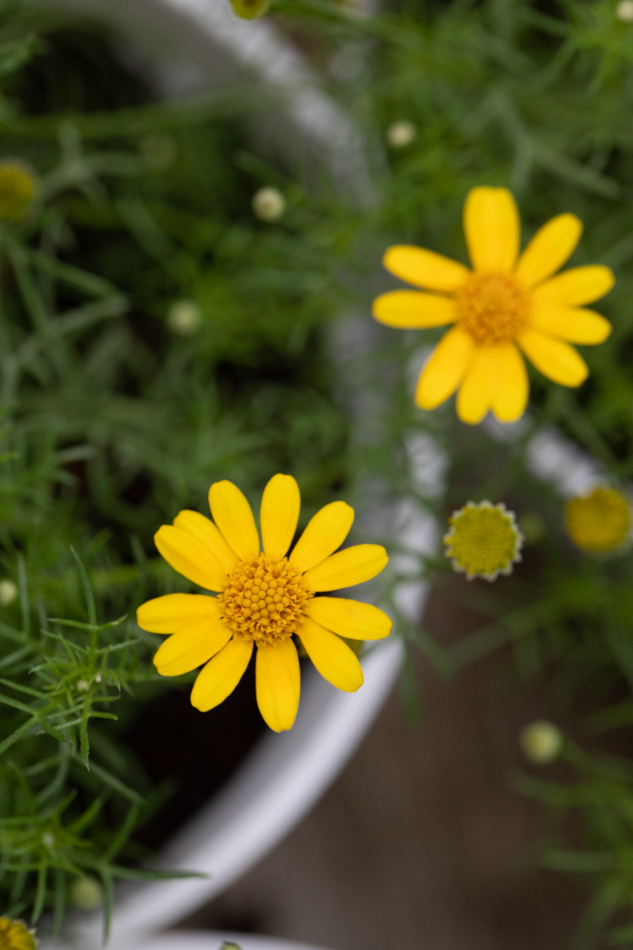 175A3011.jpg 175A3011.jpg