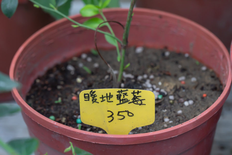 175A3012.jpg 175A3012.jpg