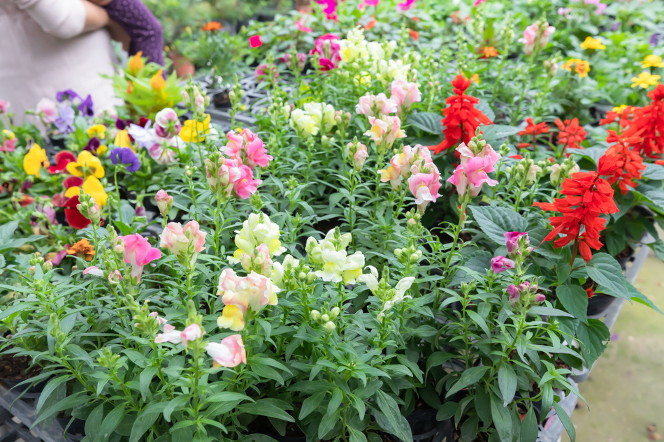 175A3019.jpg 175A3019.jpg