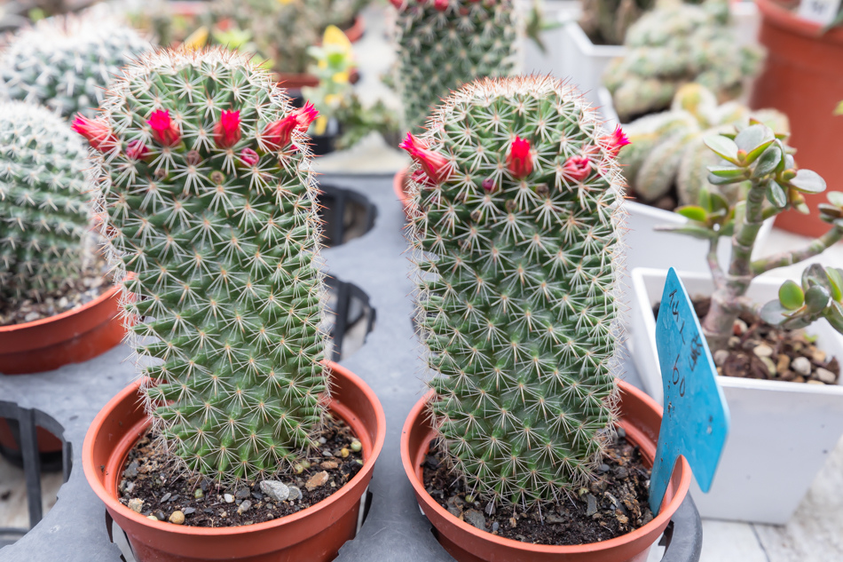 175A3027.jpg 175A3027.jpg