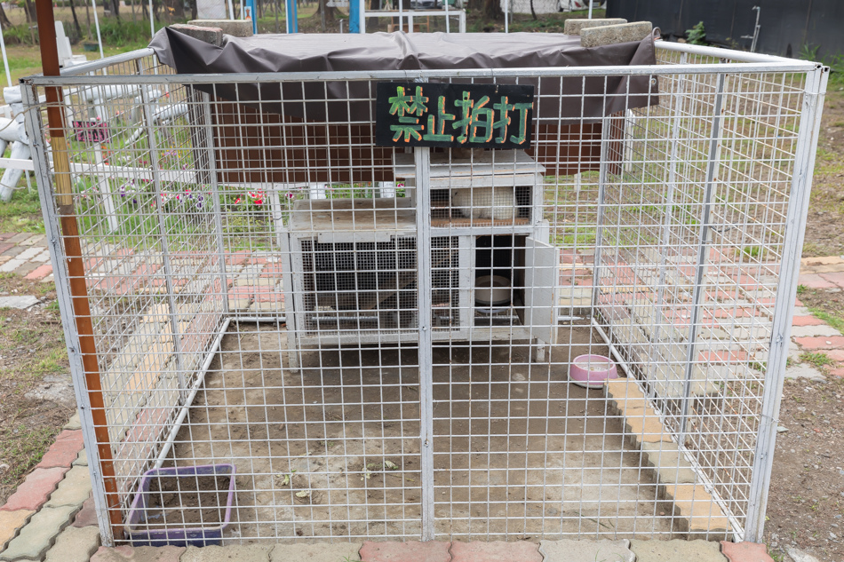 175A3030.jpg 175A3030.jpg