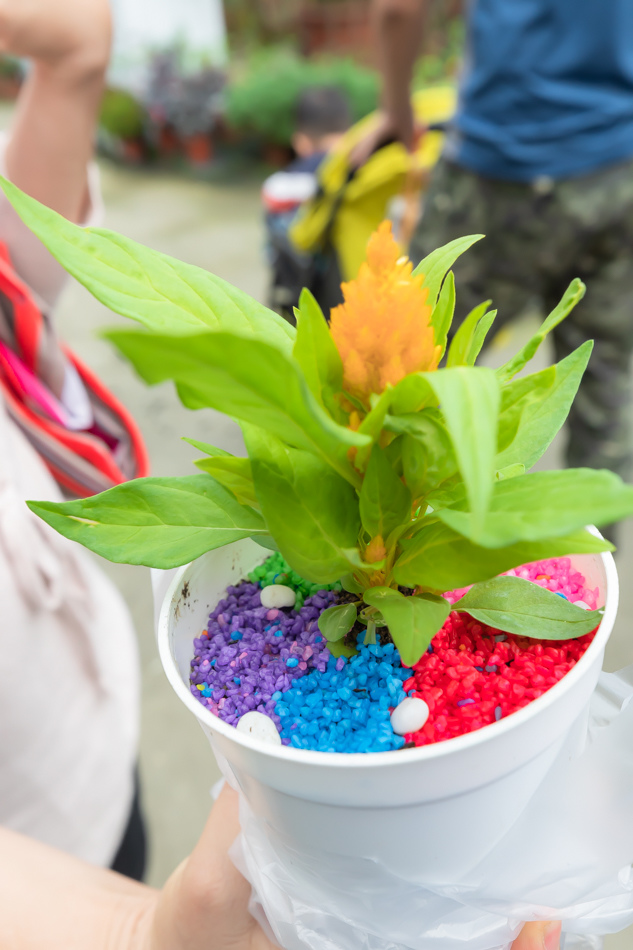 175A3034.jpg 175A3034.jpg