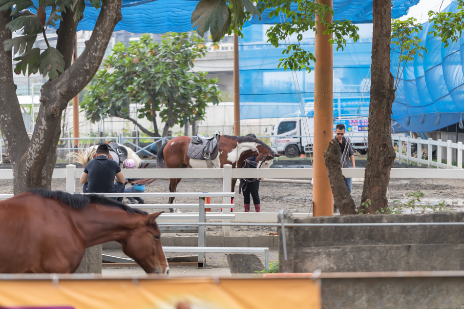 175A3040.jpg 175A3040.jpg