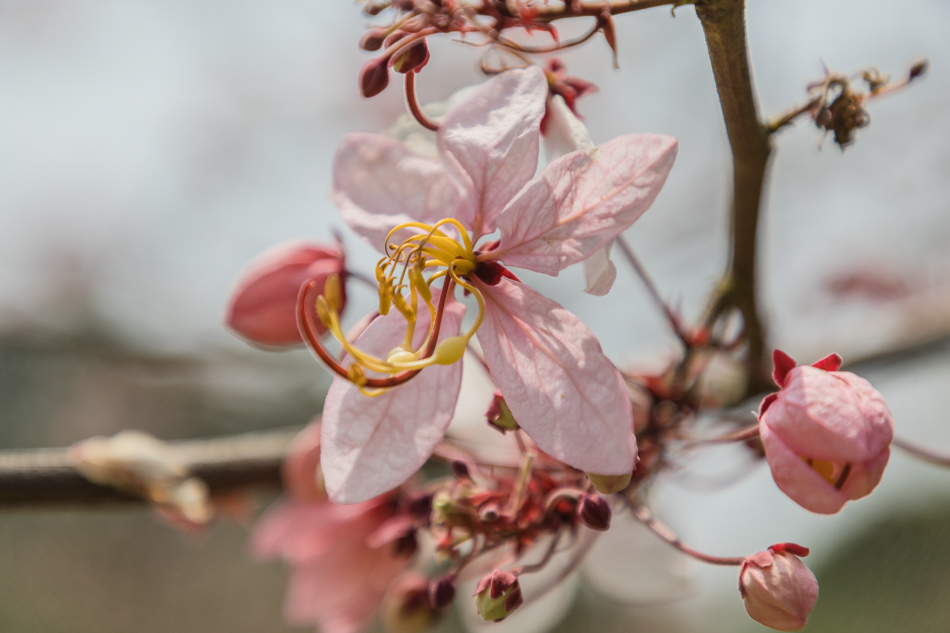 175A3966.jpg 175A3966.jpg