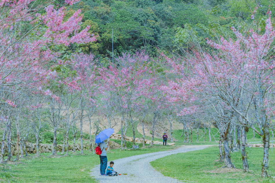 175A3968.jpg 175A3968.jpg