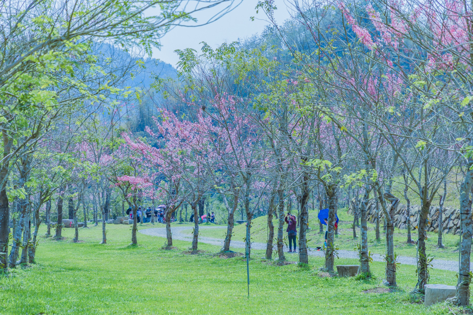 175A3970.jpg 175A3970.jpg