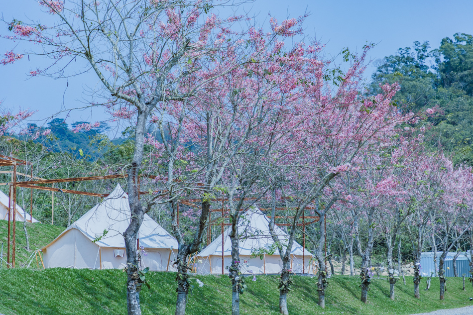 175A3971.jpg 175A3971.jpg