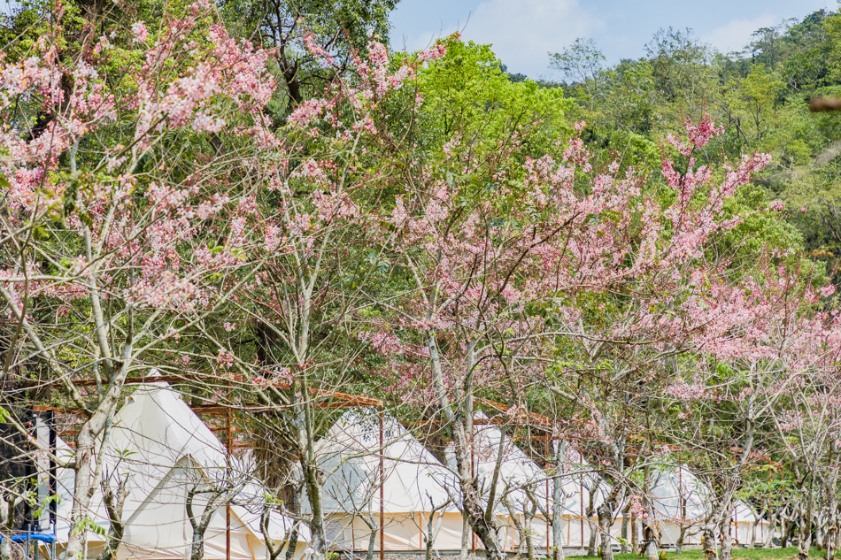 175A3973.jpg 175A3973.jpg