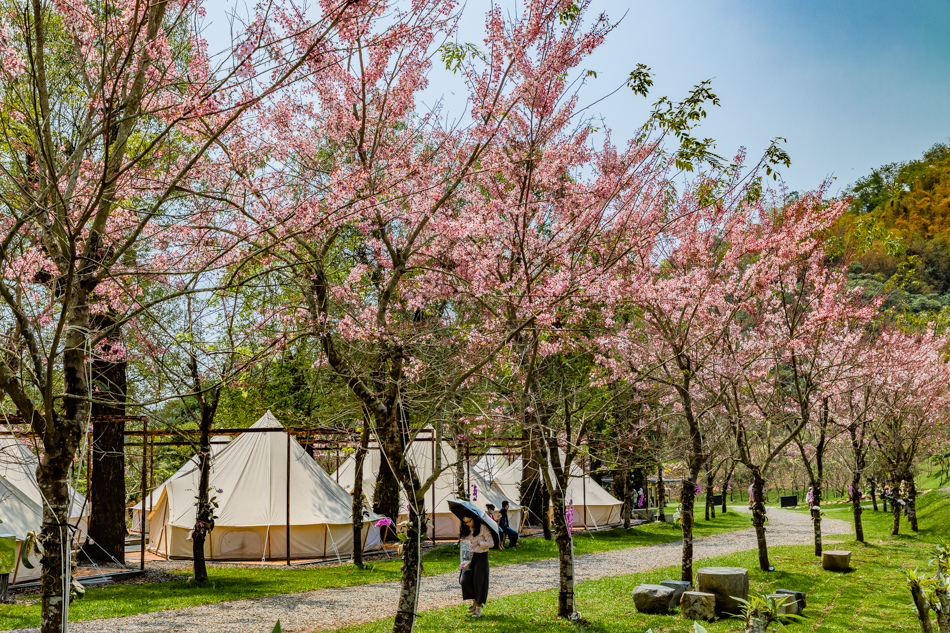 175A4009.jpg 175A4009.jpg