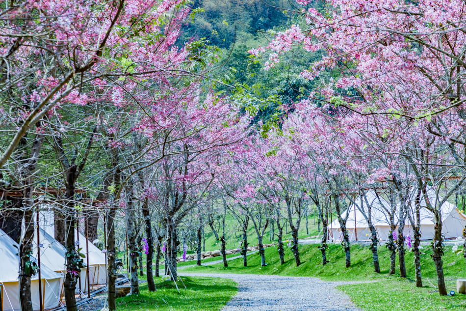 175A4019.jpg 175A4019.jpg