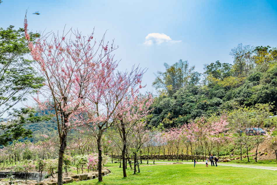 175A4032.jpg 175A4032.jpg