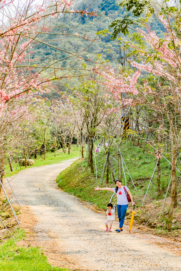 175A4063.jpg 175A4063.jpg