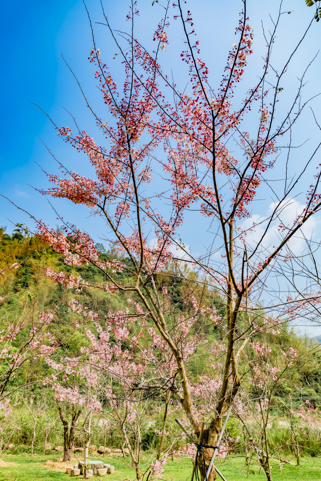 175A4068.jpg 175A4068.jpg