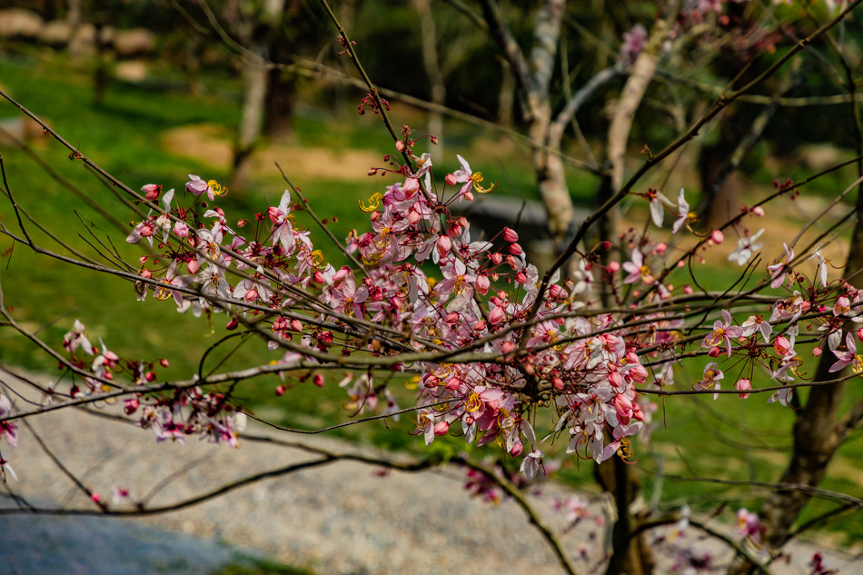 175A4069.jpg 175A4069.jpg