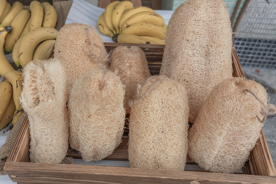 175A4243.jpg 175A4243.jpg