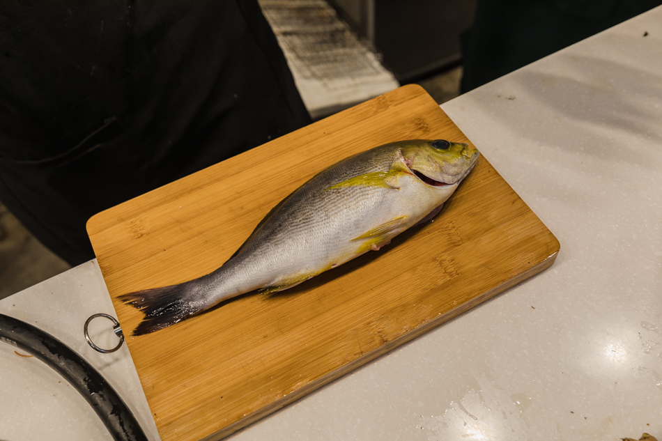 175A4289.jpg 175A4289.jpg