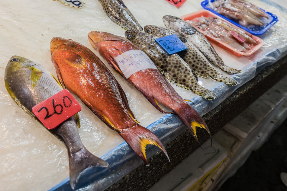 175A4290.jpg 175A4290.jpg