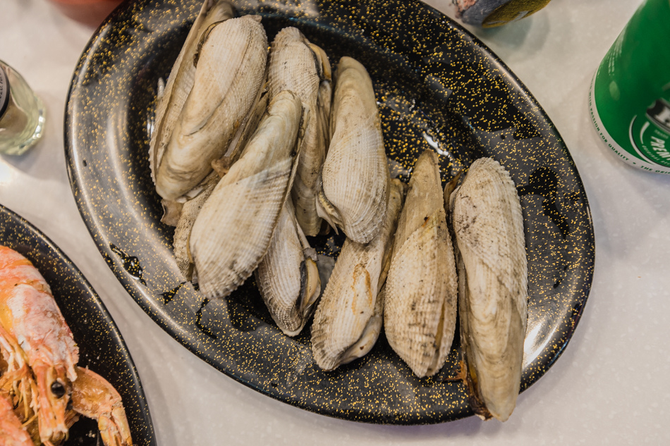 175A4304.jpg 175A4304.jpg