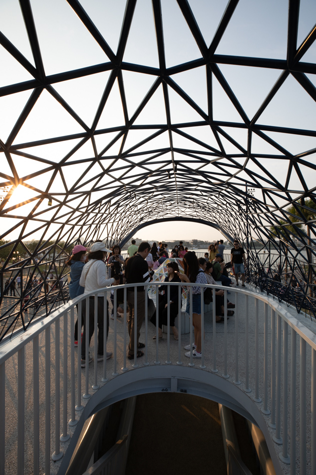 台南景點 / 大魚的祝福 / 安平九重葛 台南景點 / 大魚的祝福 / 安平九重葛