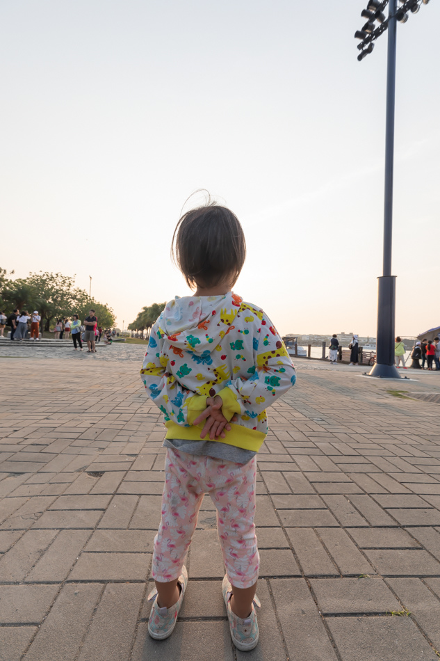 台南景點 / 大魚的祝福 / 安平九重葛 台南景點 / 大魚的祝福 / 安平九重葛