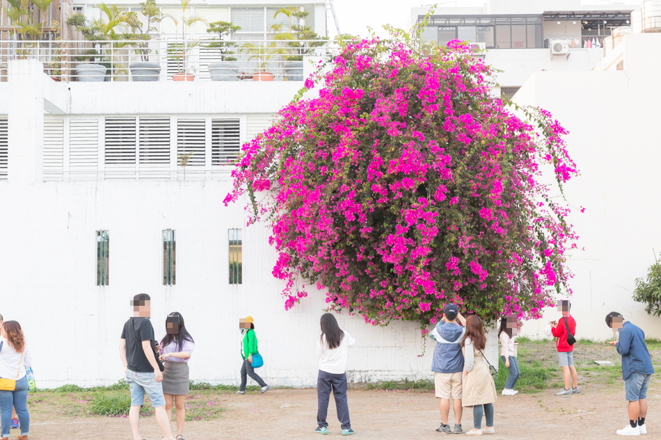 175A9911.jpg 175A9911.jpg