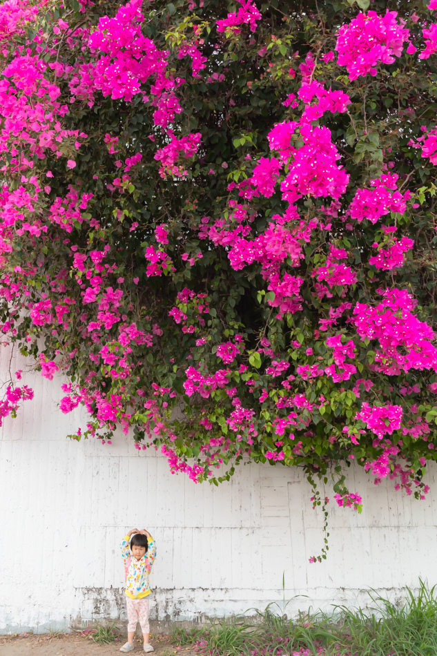 175A9917.jpg 175A9917.jpg