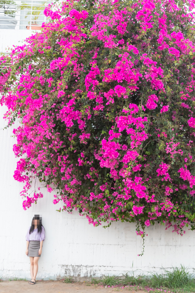 175A9927.jpg 175A9927.jpg