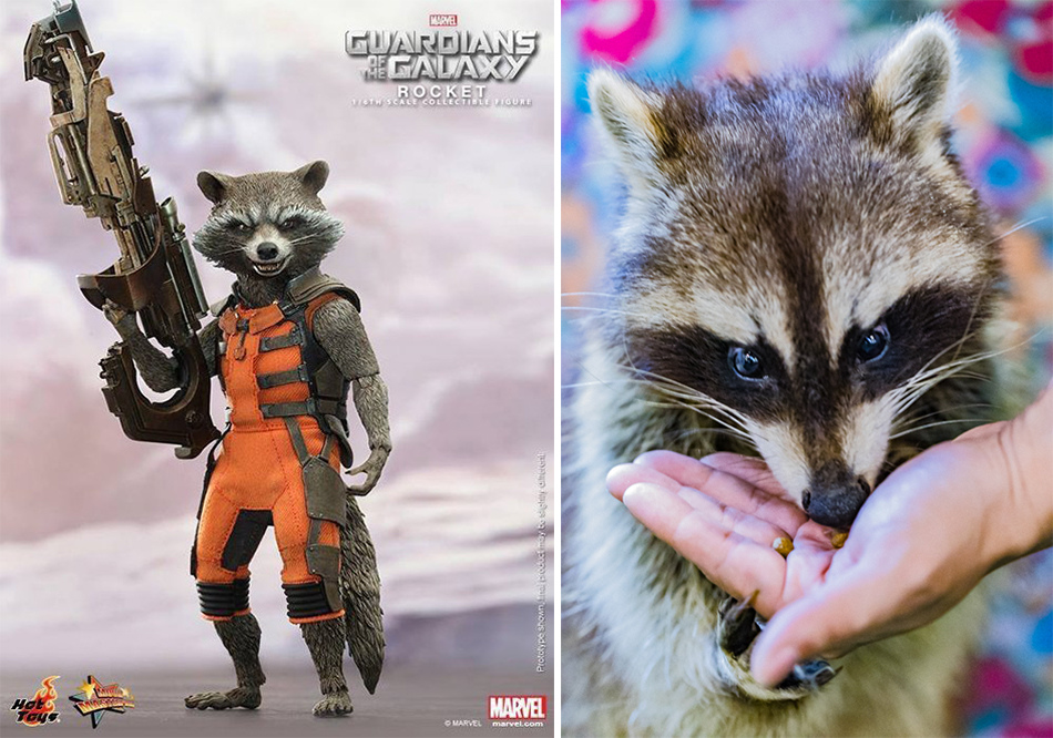 浣熊窩樓上 浣熊窩樓上