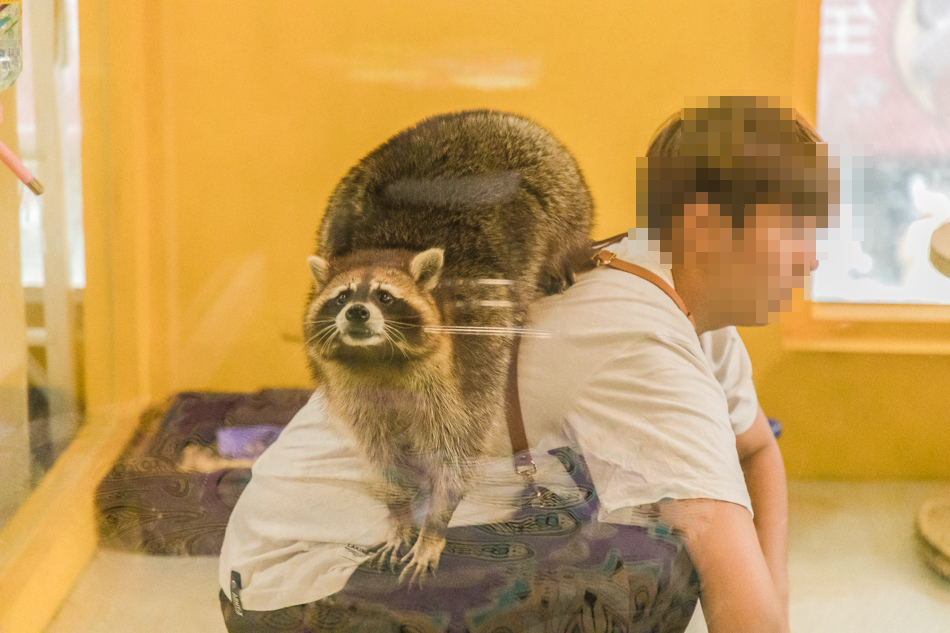 175A1985.jpg 175A1985.jpg