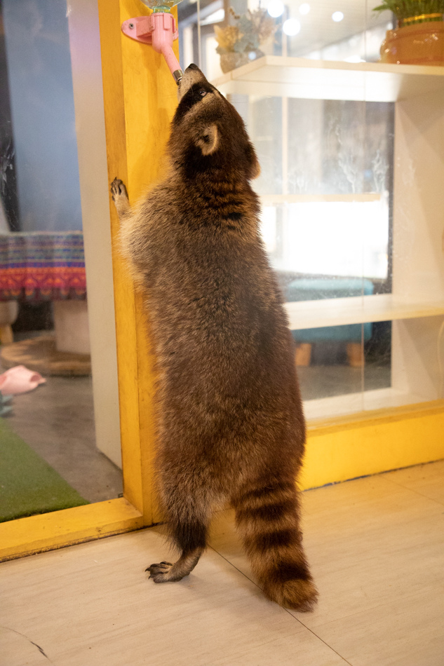 175A1991.jpg 175A1991.jpg